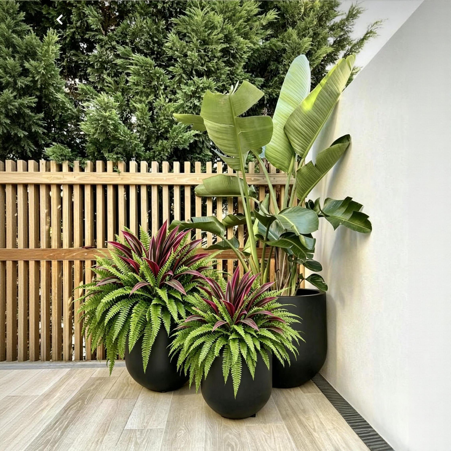 💥Summer Special🔥 UV‑Resistant Artificial Fern & Red Dracaena, Lush Full Fade‑Proof Decorative Plants