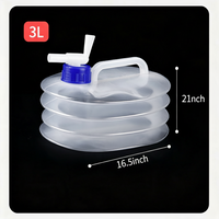3L