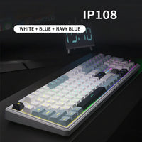White & Navy Blue
