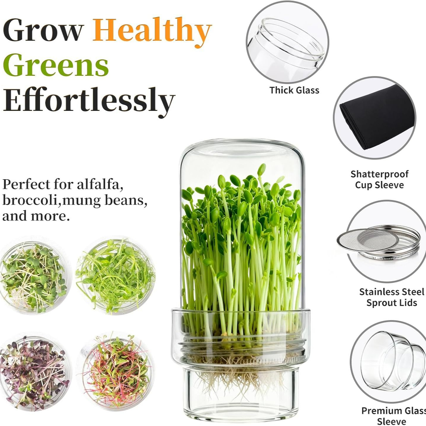🌱 Upgraded Sprouting Jar Kit – Fresh Healthy Sprouts in Days ✨
