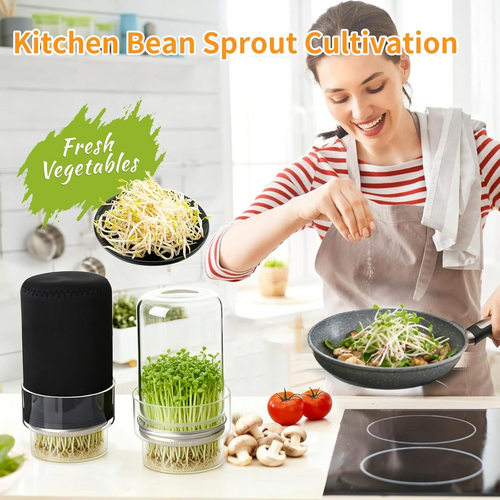 🌱 Upgraded Sprouting Jar Kit – Fresh Healthy Sprouts in Days ✨