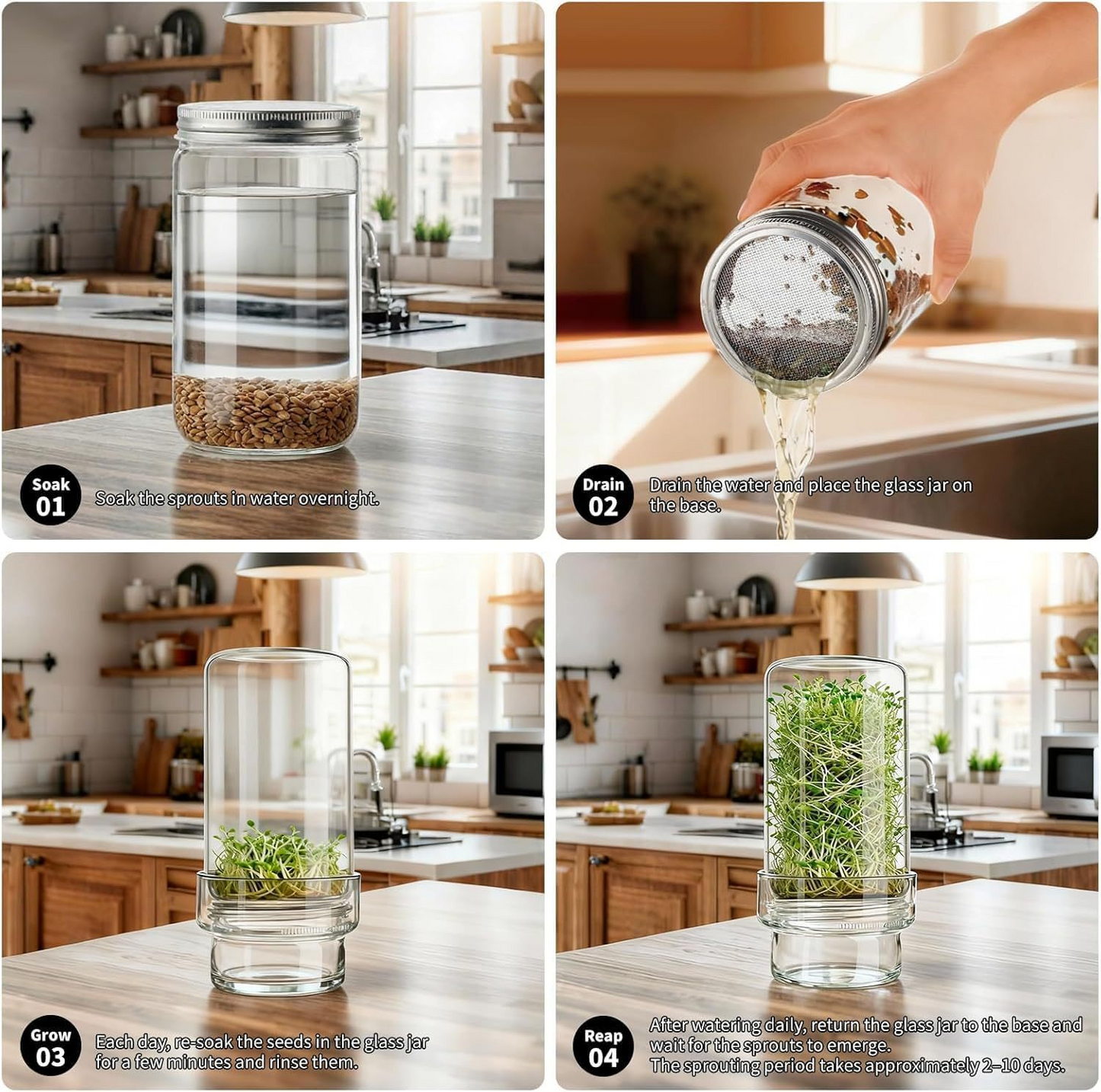 🌱 Upgraded Sprouting Jar Kit – Fresh Healthy Sprouts in Days ✨