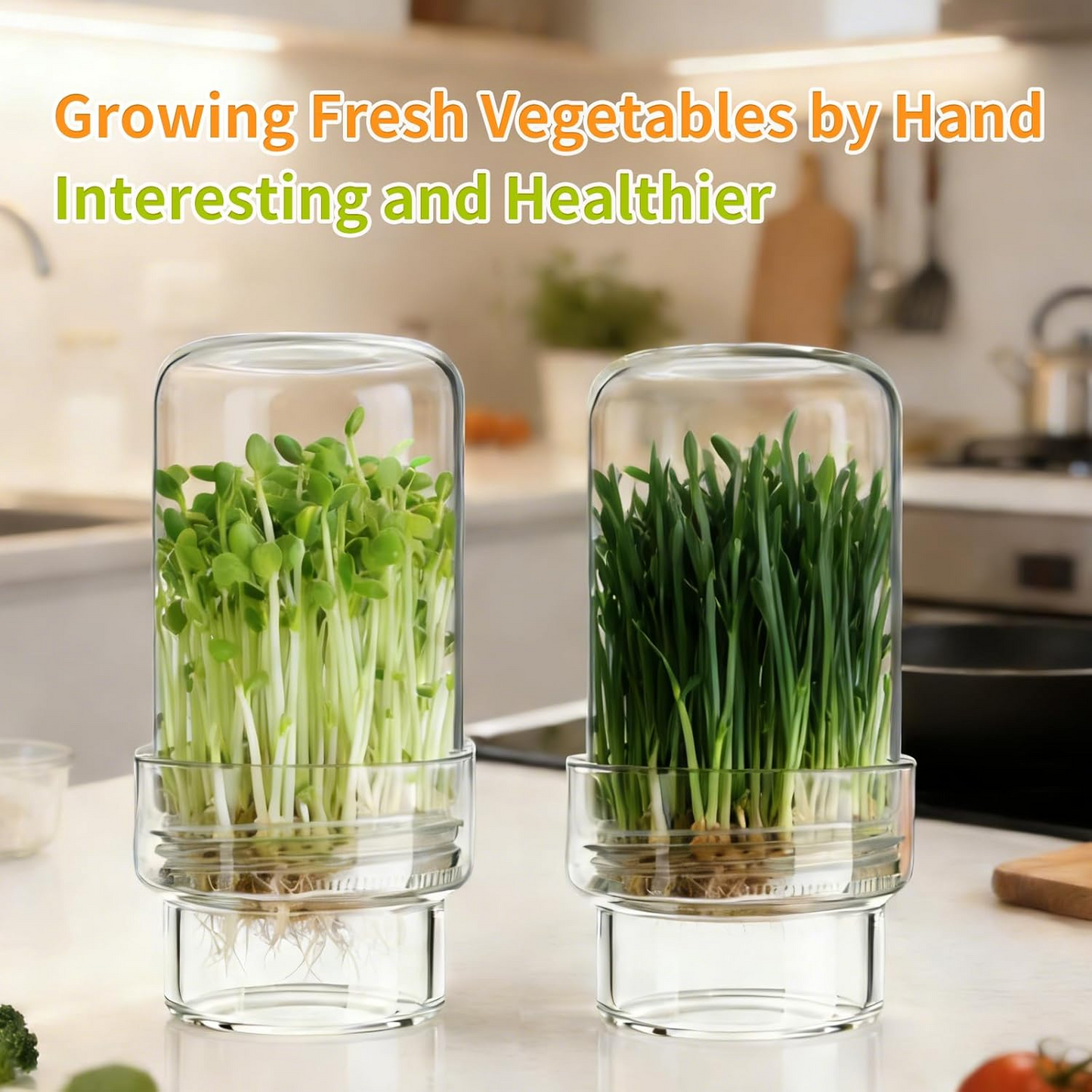 🌱 Upgraded Sprouting Jar Kit – Fresh Healthy Sprouts in Days ✨