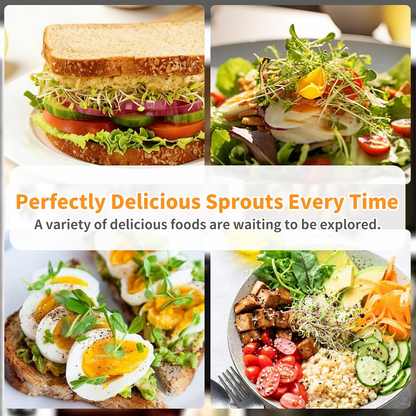 🌱 Upgraded Sprouting Jar Kit – Fresh Healthy Sprouts in Days ✨
