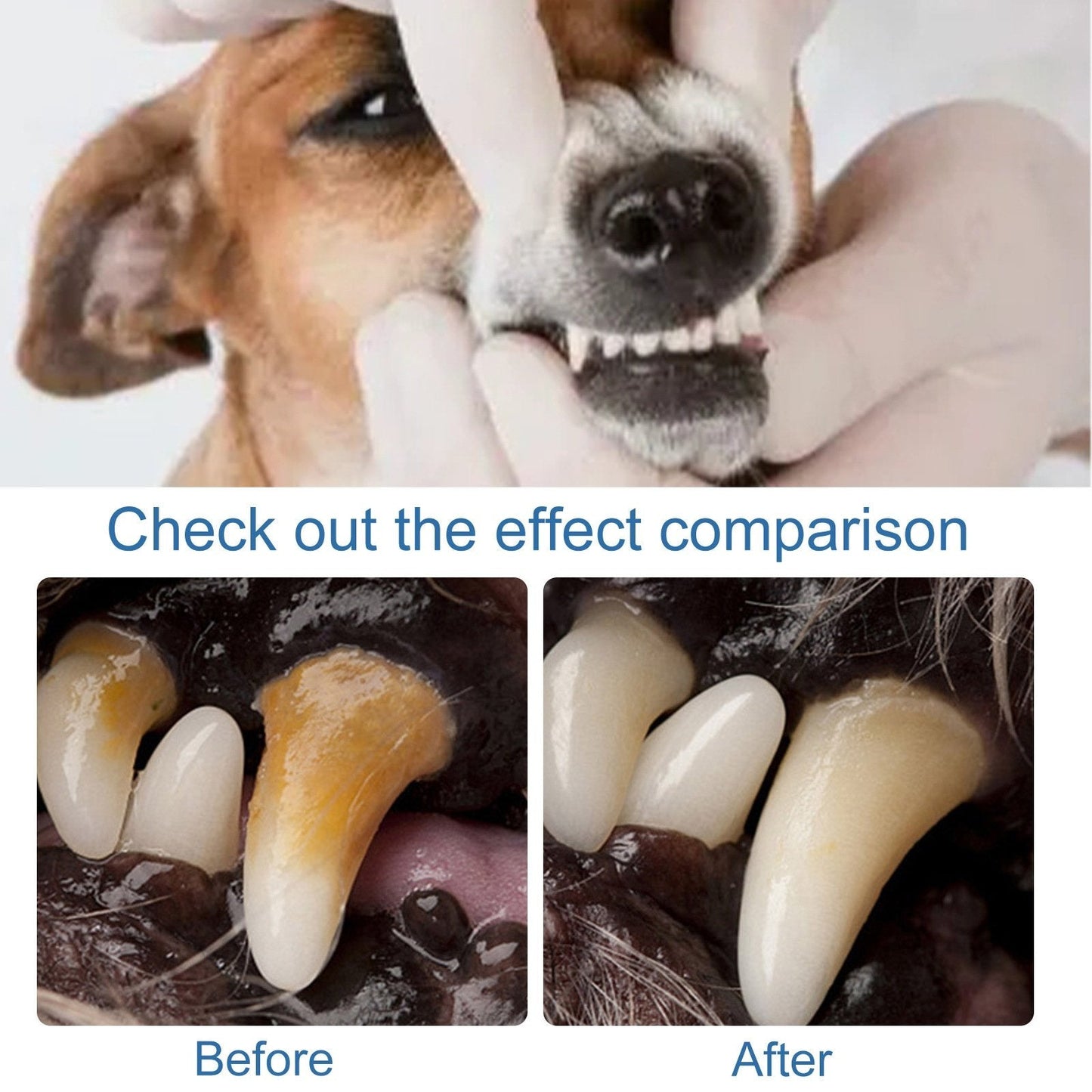 🐶Foam for removing tartar from pet teeth – Fresh breath & healthy teeth, no brushing required! 🦷