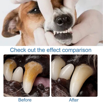 🐶Foam for removing tartar from pet teeth – Fresh breath & healthy teeth, no brushing required! 🦷
