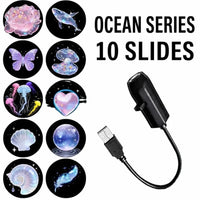 🦋🌊Butterfly & Ocean 10 Scenes