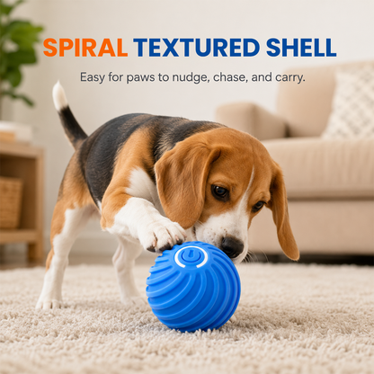 Smart Interactive Bouncing Ball（副本）