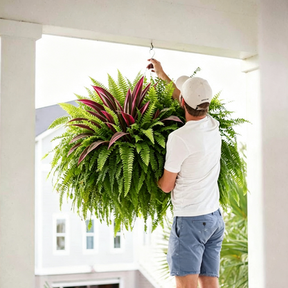 💥Summer Special🔥 UV‑Resistant Artificial Fern & Red Dracaena, Lush Full Fade‑Proof Decorative Plants