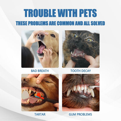 🐶Foam for removing tartar from pet teeth – Fresh breath & healthy teeth, no brushing required! 🦷