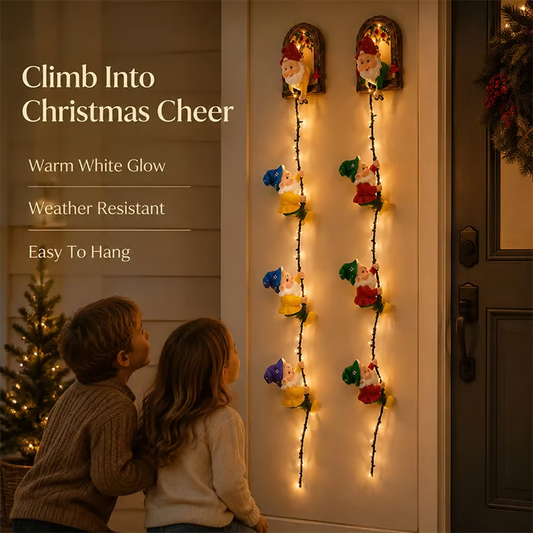 💥 LAST DAY 49% OFF - 🎄 Christmas Gnome String Lights  (📦Buy 2 Free Shipping)