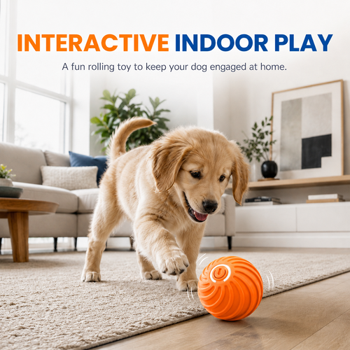 Smart Interactive Bouncing Ball（副本）