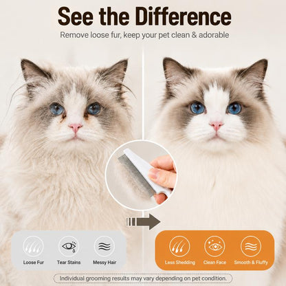 🔥Pet Face Comb Set for Cats & Dogs-2Pack