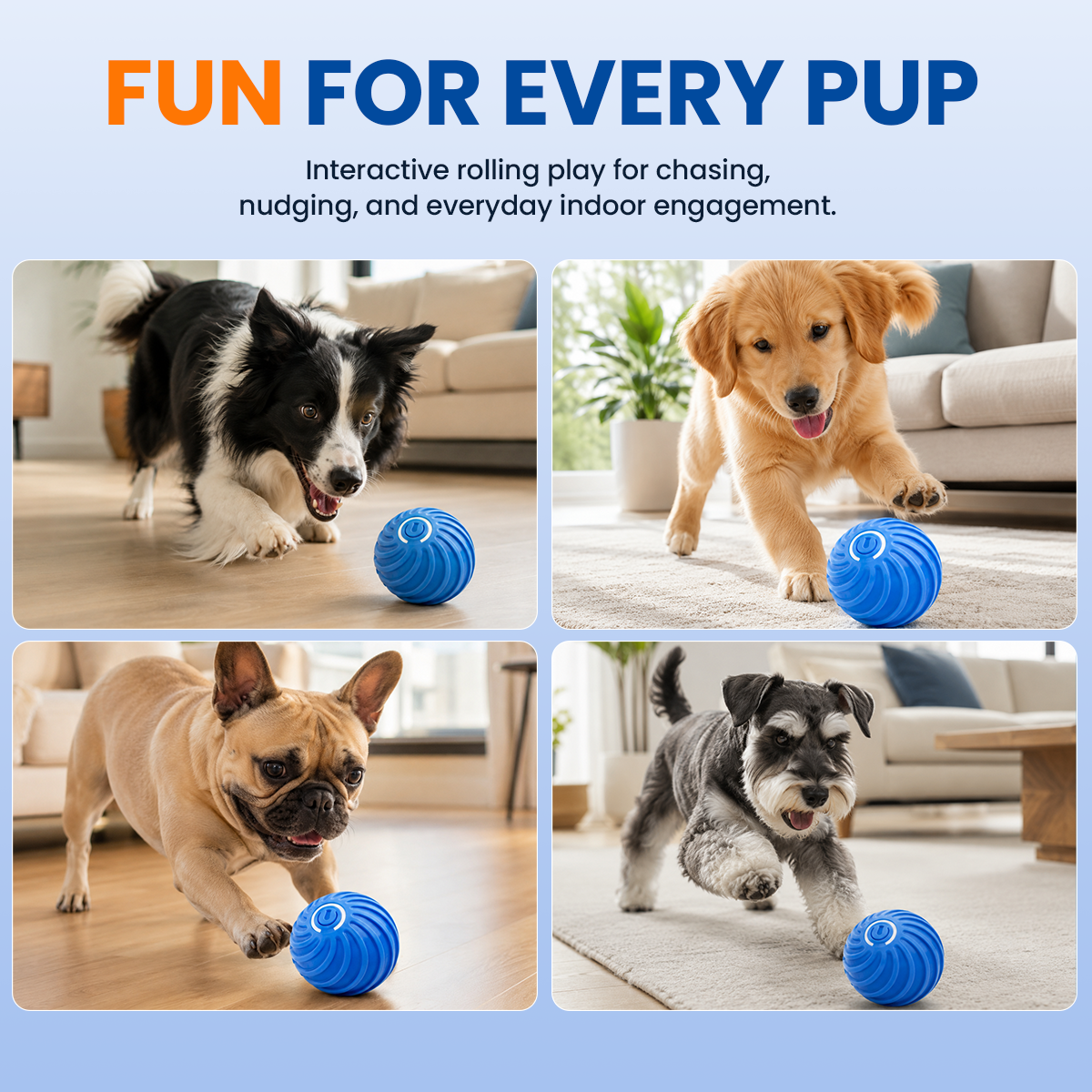 Smart Interactive Bouncing Ball（副本）