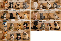 ALL 7 PCS (Save $30 + Free Shipping)